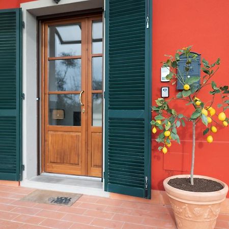 Apartament Lemon Garden House San Miniato Basso Zewnętrze zdjęcie